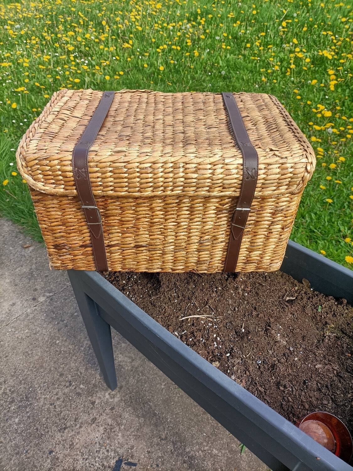 Retro wicker trunk 💐