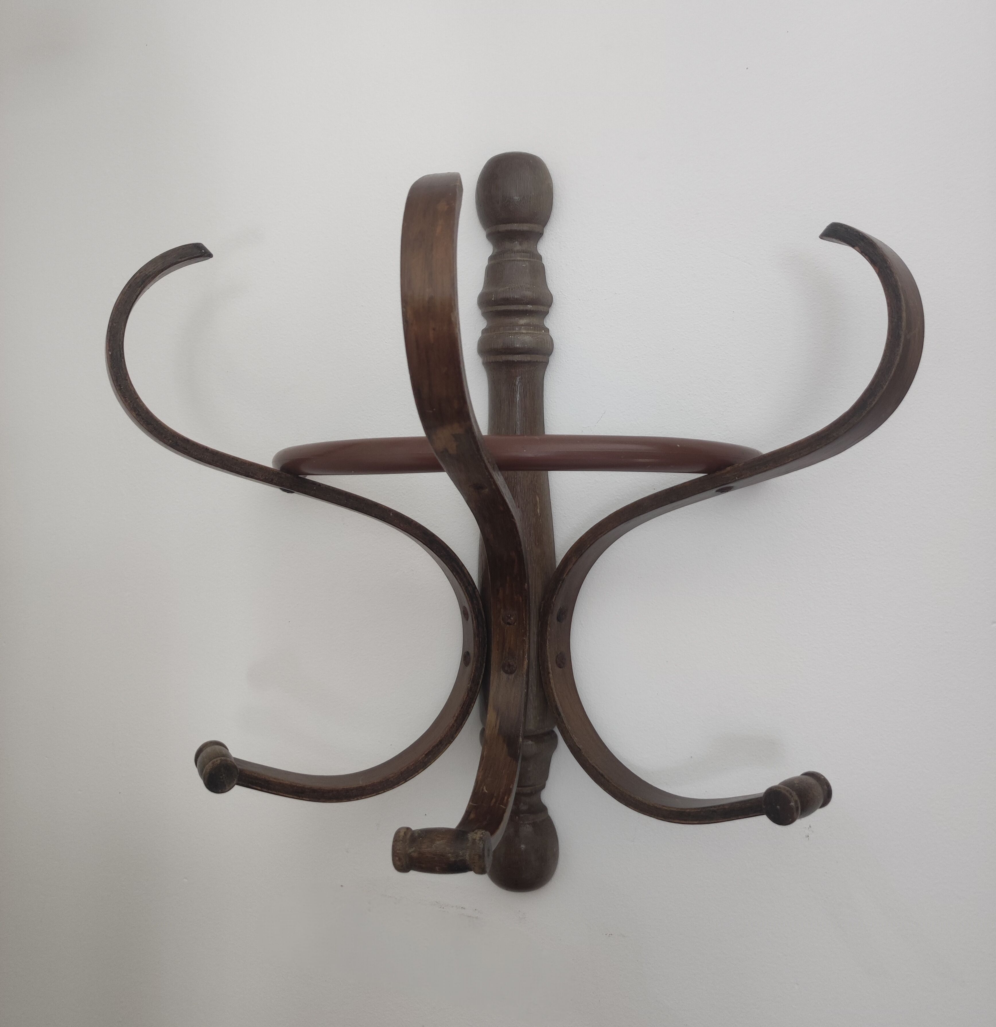 Wall coat rack half parrot