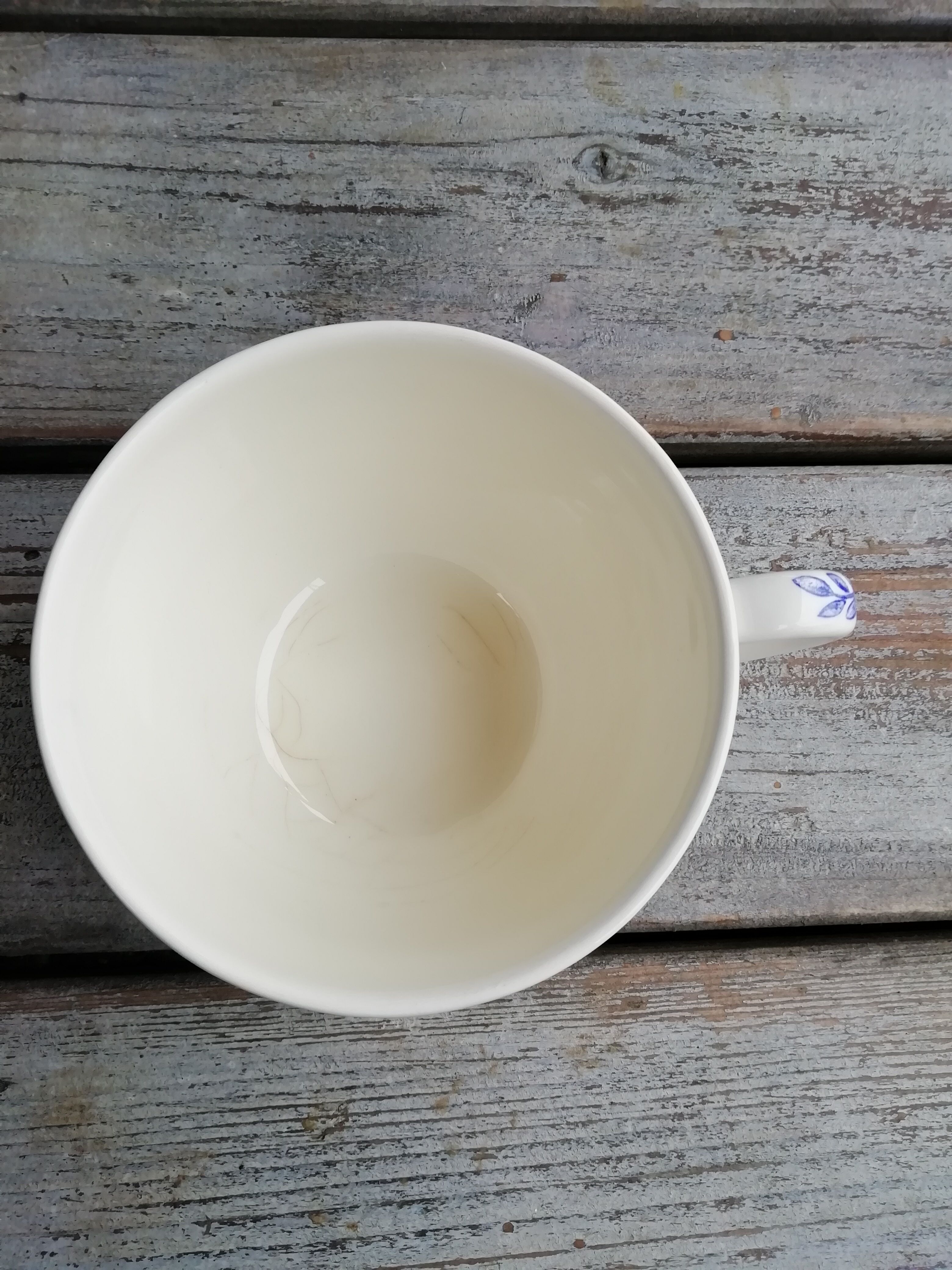 Blue bird teacup