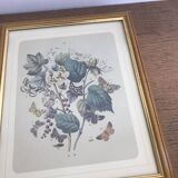 Botanical card butterfly vintage lithograph 3