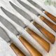 6 Vintage Horn Knives Silver Steel Blade LEPINE A LYON France 19th Century