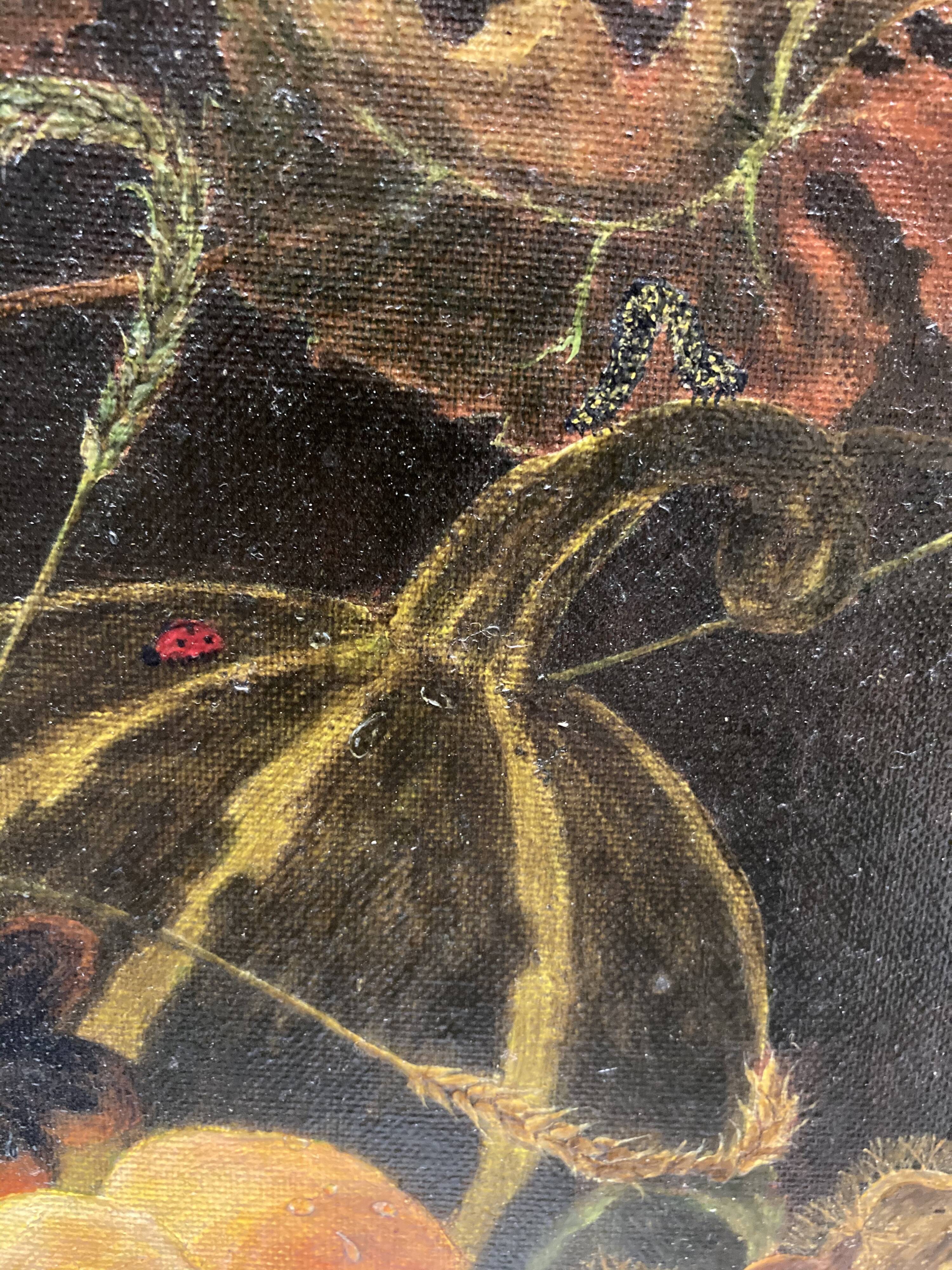 Nature morte aux insectes