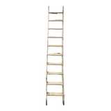 Old ladder