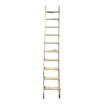 Old ladder