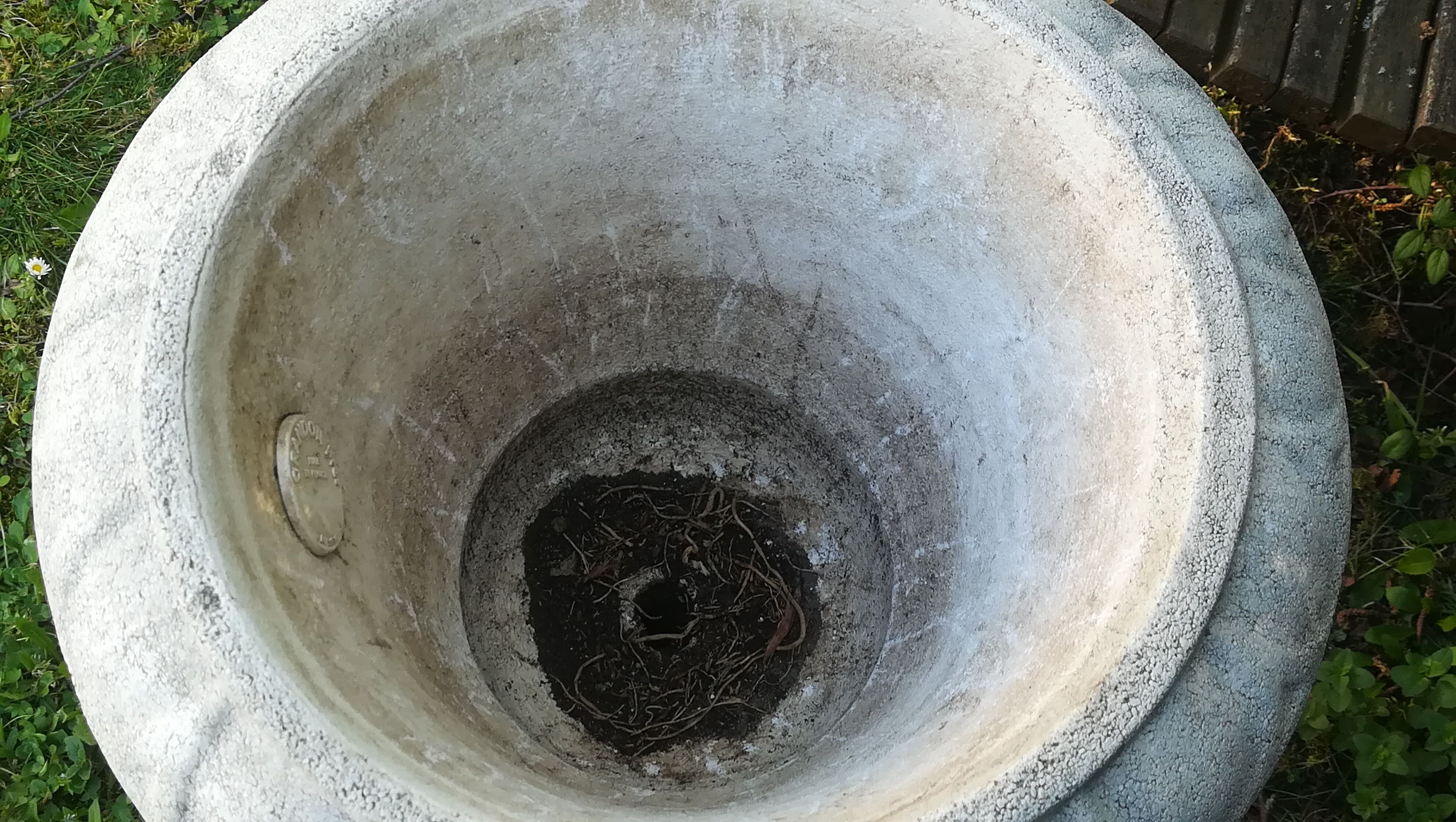 White Medici vase in reconstructed stone