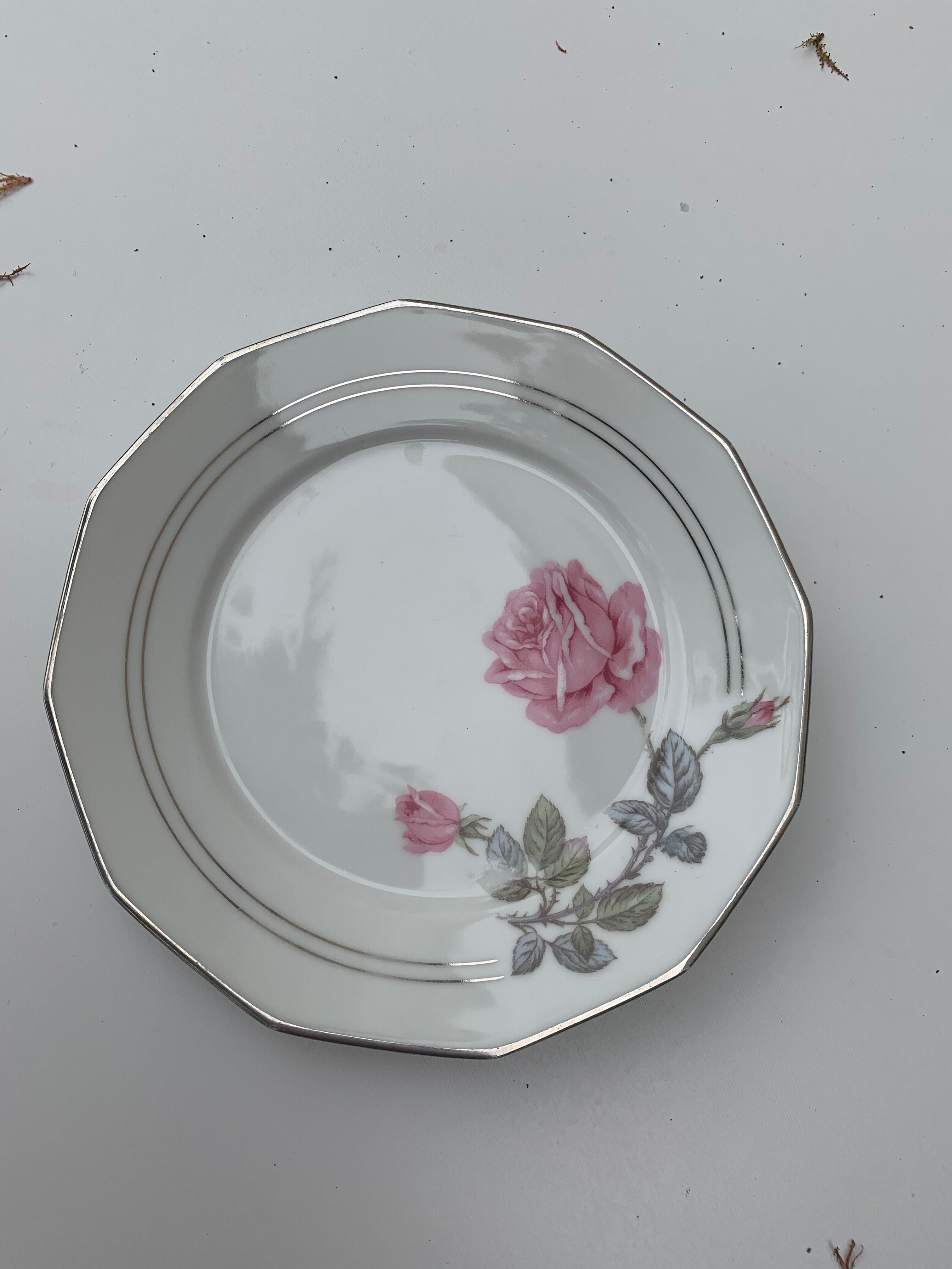 6 dessert plates in white porcelain with art deco rose pattern