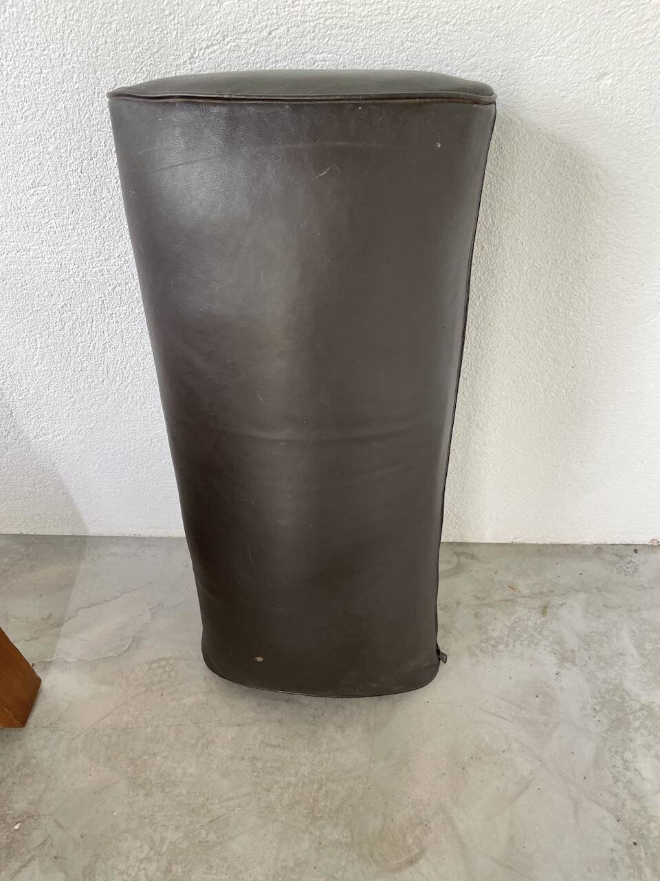 Modernist armchair in exotic wood and leather