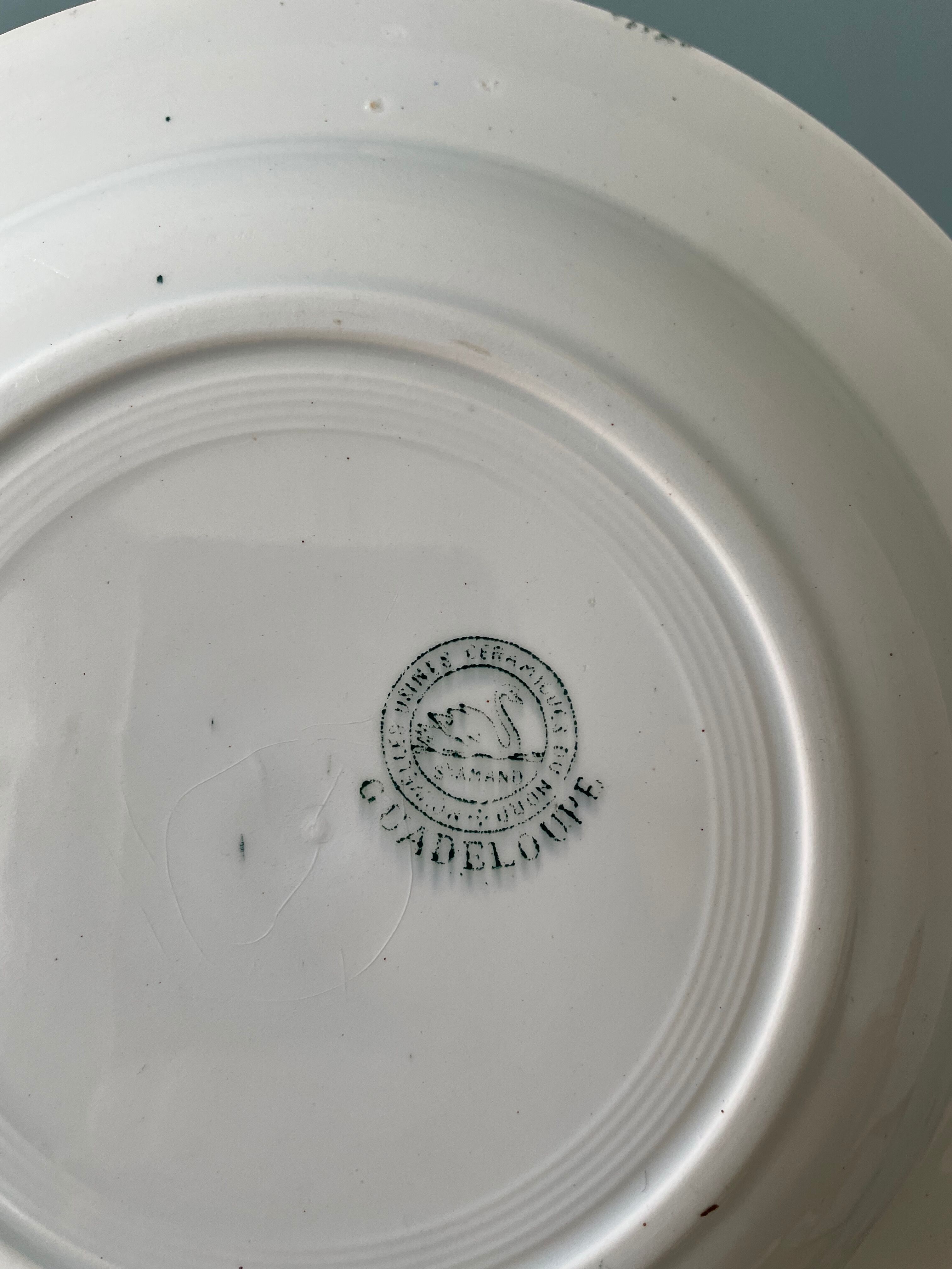 Set of 7 mismatched hollow plates Terre de Fer XIXth