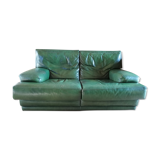 Buffalo leather sofa Roche Bobois