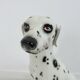 Very large ceramic Dalmatian, Italy, 1960-1970, 43cm