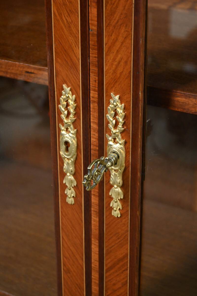 Rosewood and Mahogany Bookcase, Louis XVI Style – Early 20th Century