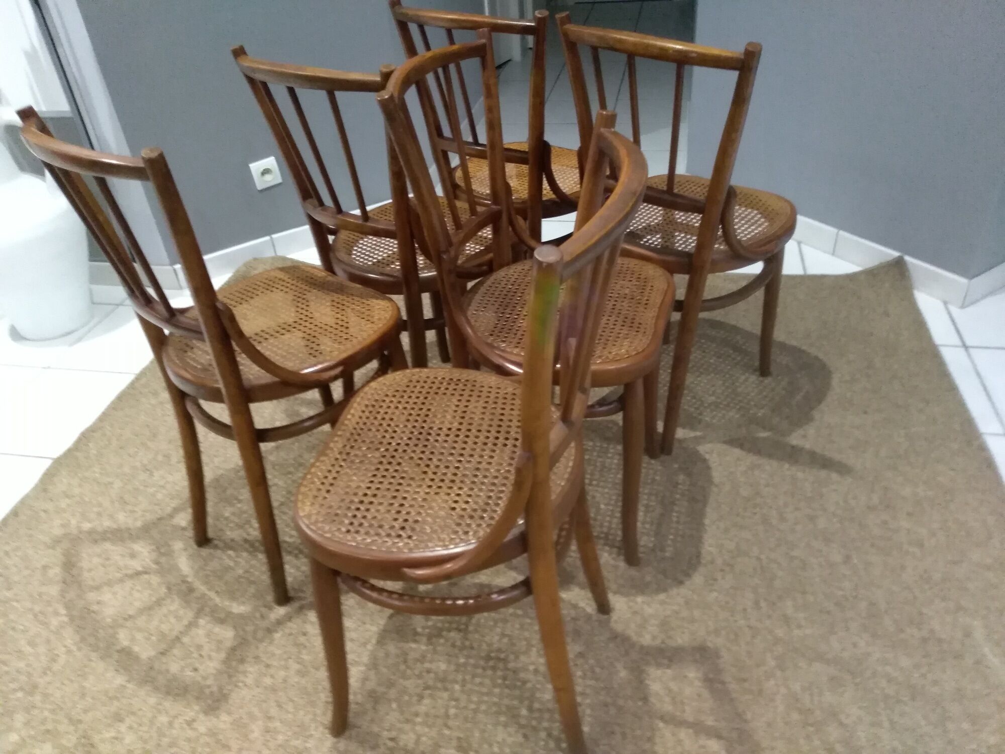 Suite of 6 chairs by Bistrot Austro-Hungarian Fium 1890