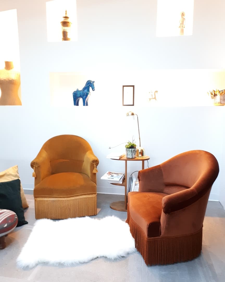 Pair of armchairs toads velvet