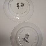 set of two sarreguemines plates "Rouen"