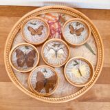 Vintage tray and coaster set