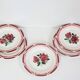 5 Digoin Sarreguemines dinner plates