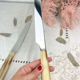 2 vintage Nogent Bakelite knives