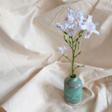 Vase celadon cocoon