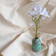 Vase celadon cocoon