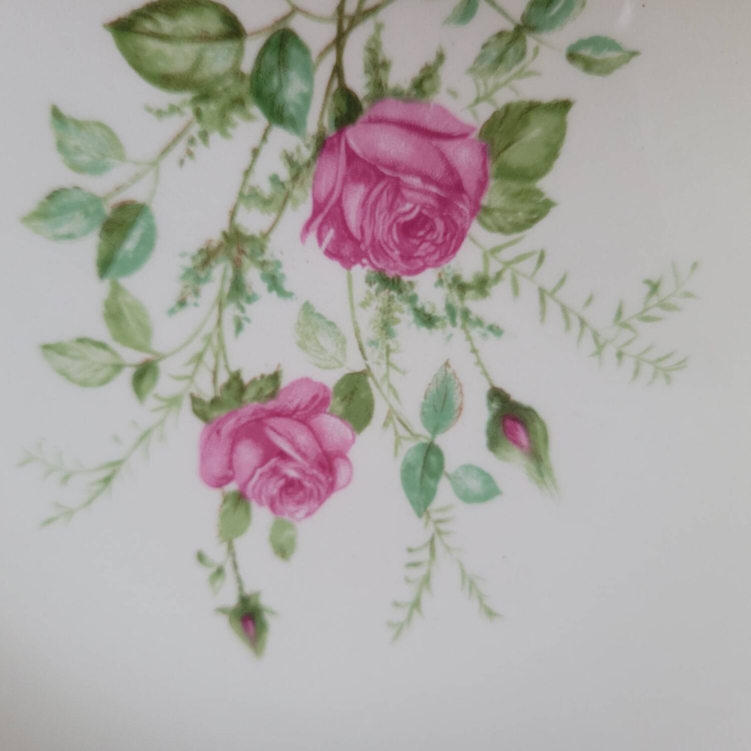 Gien 50s dinner plates