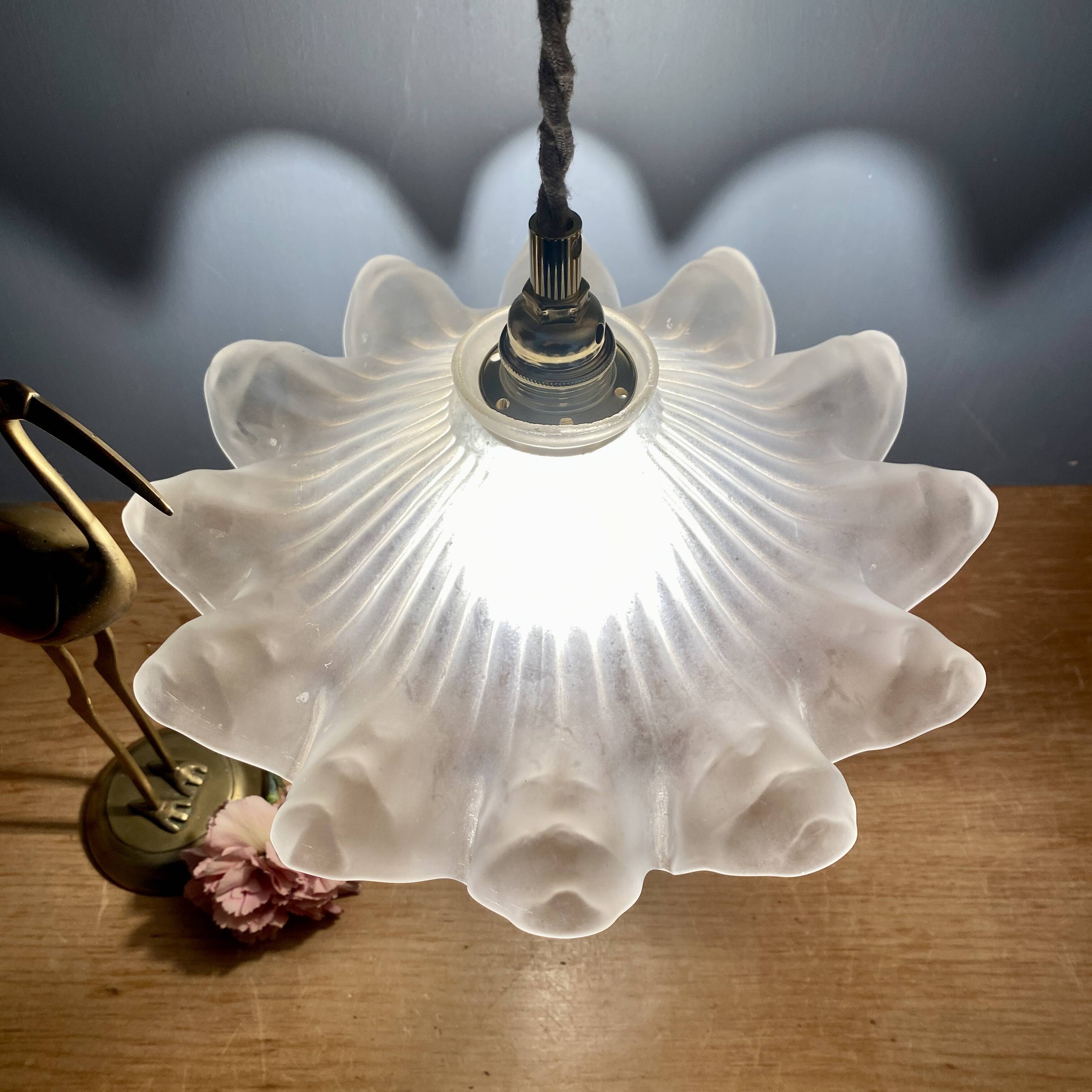 Vintage frosted glass lampshade pendant light