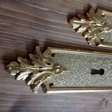 Door plate