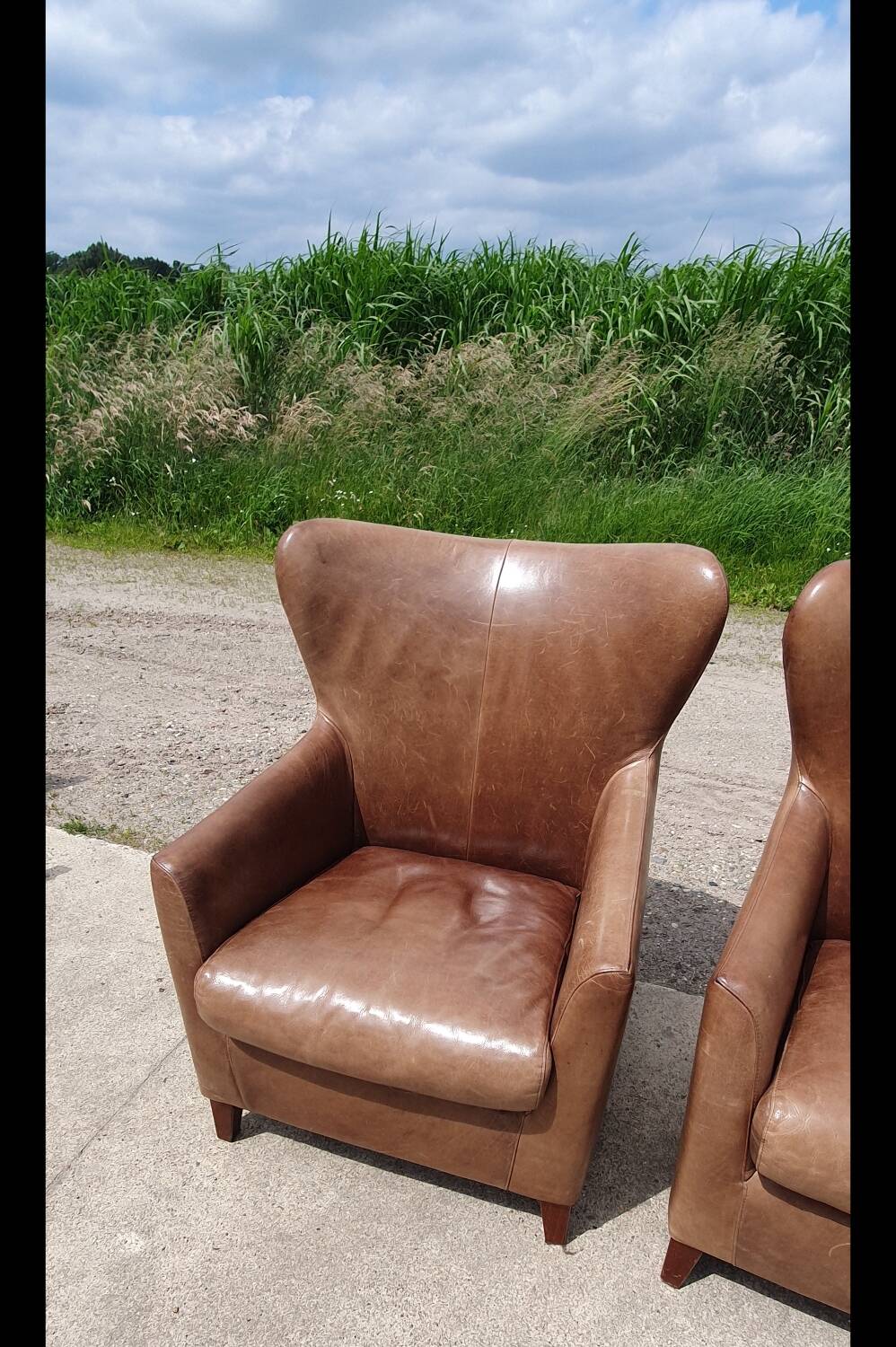 Pair leather wingback armchairs Machalke