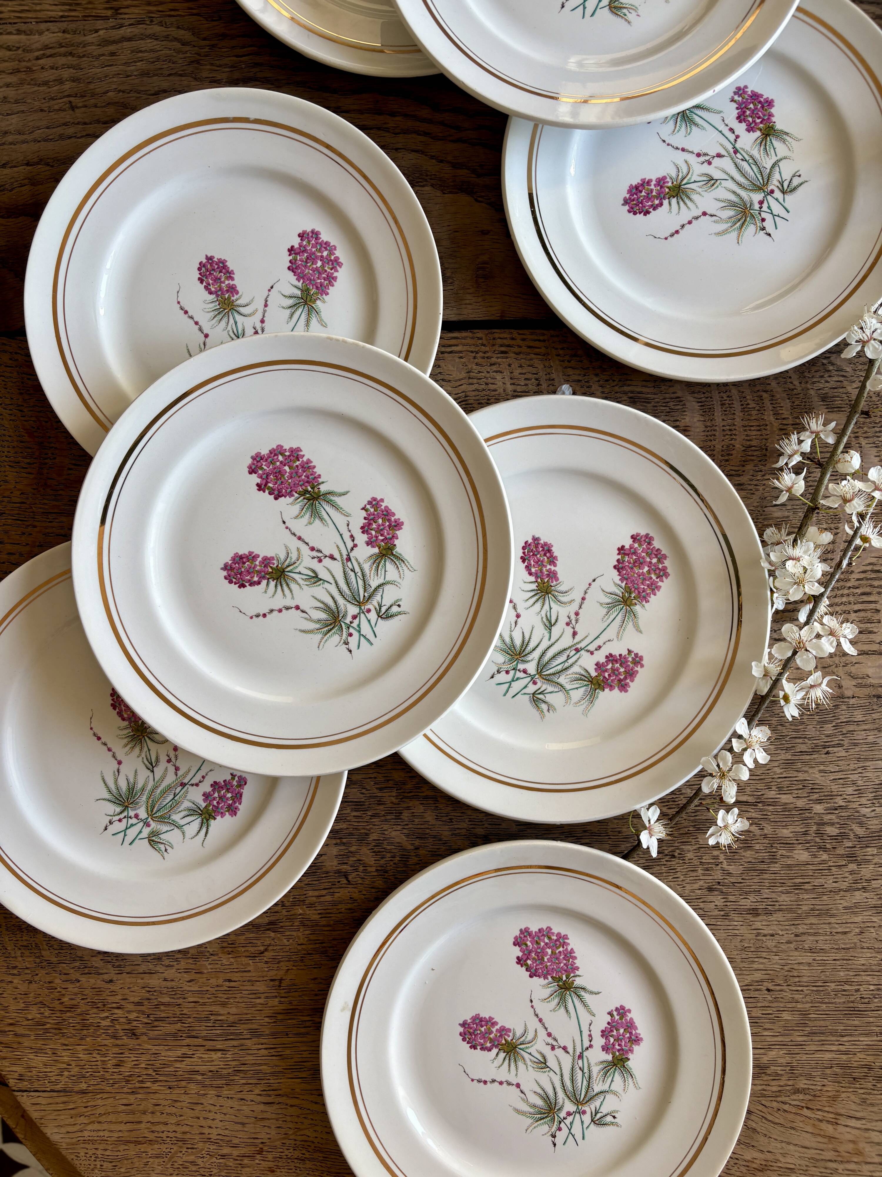 Set of 10 vintage dessert plates - Moulin des Loups