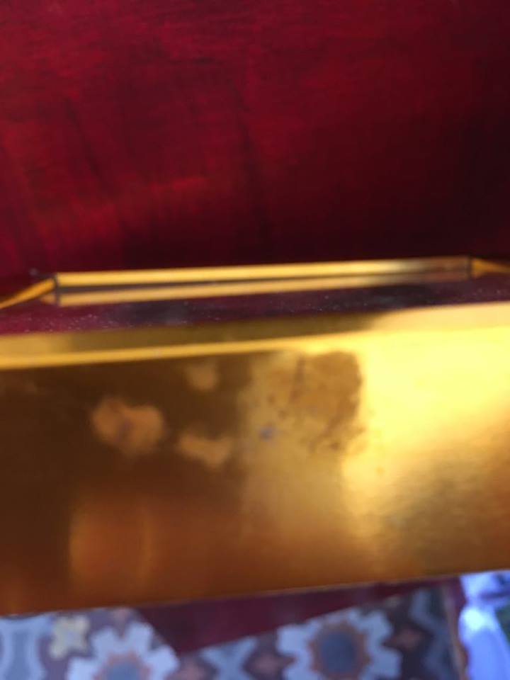 Framework of madagascar urania ripheus butterfly