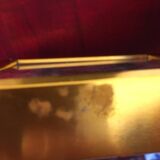 Framework of madagascar urania ripheus butterfly