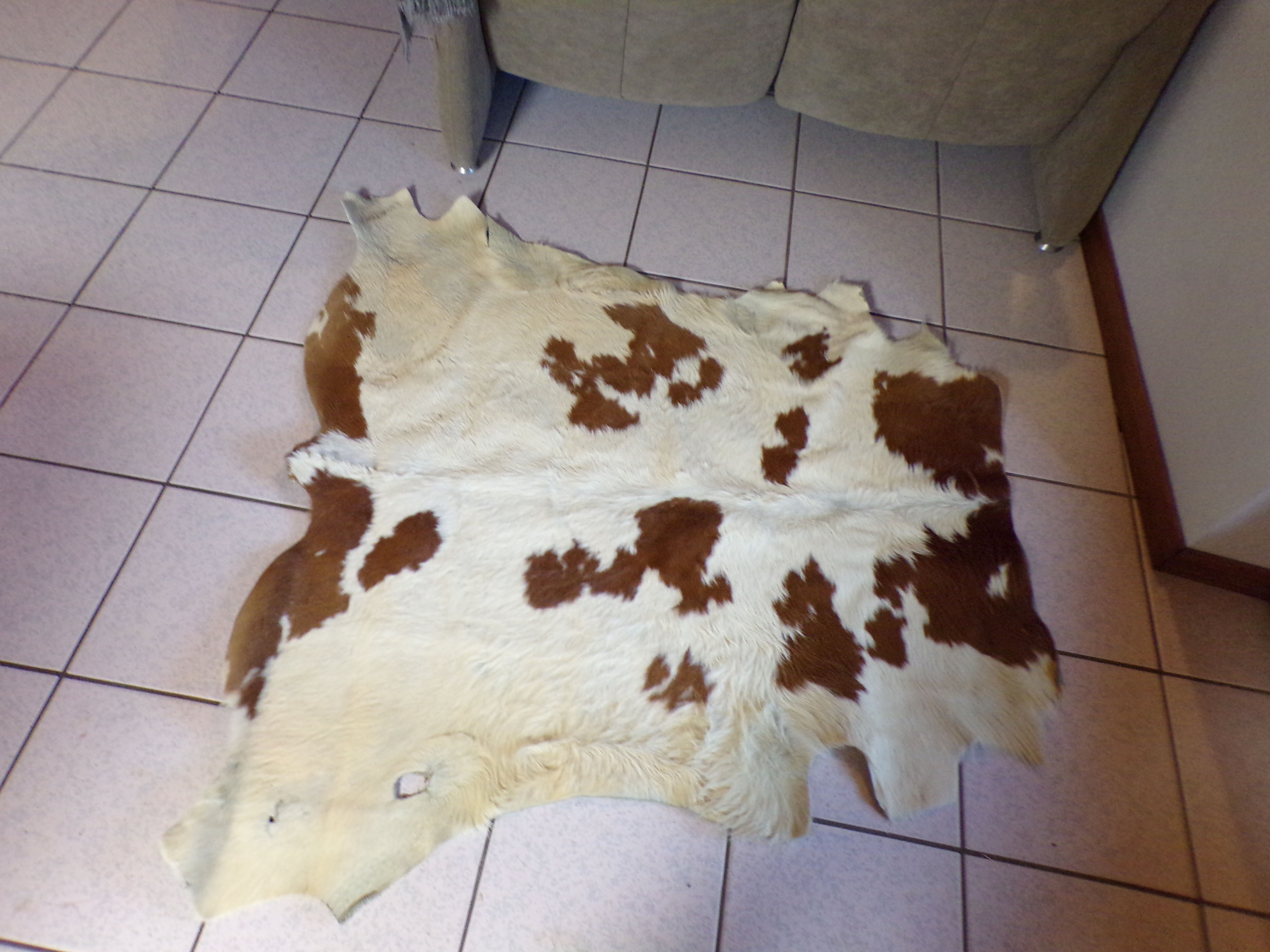 Vintage bovine skin