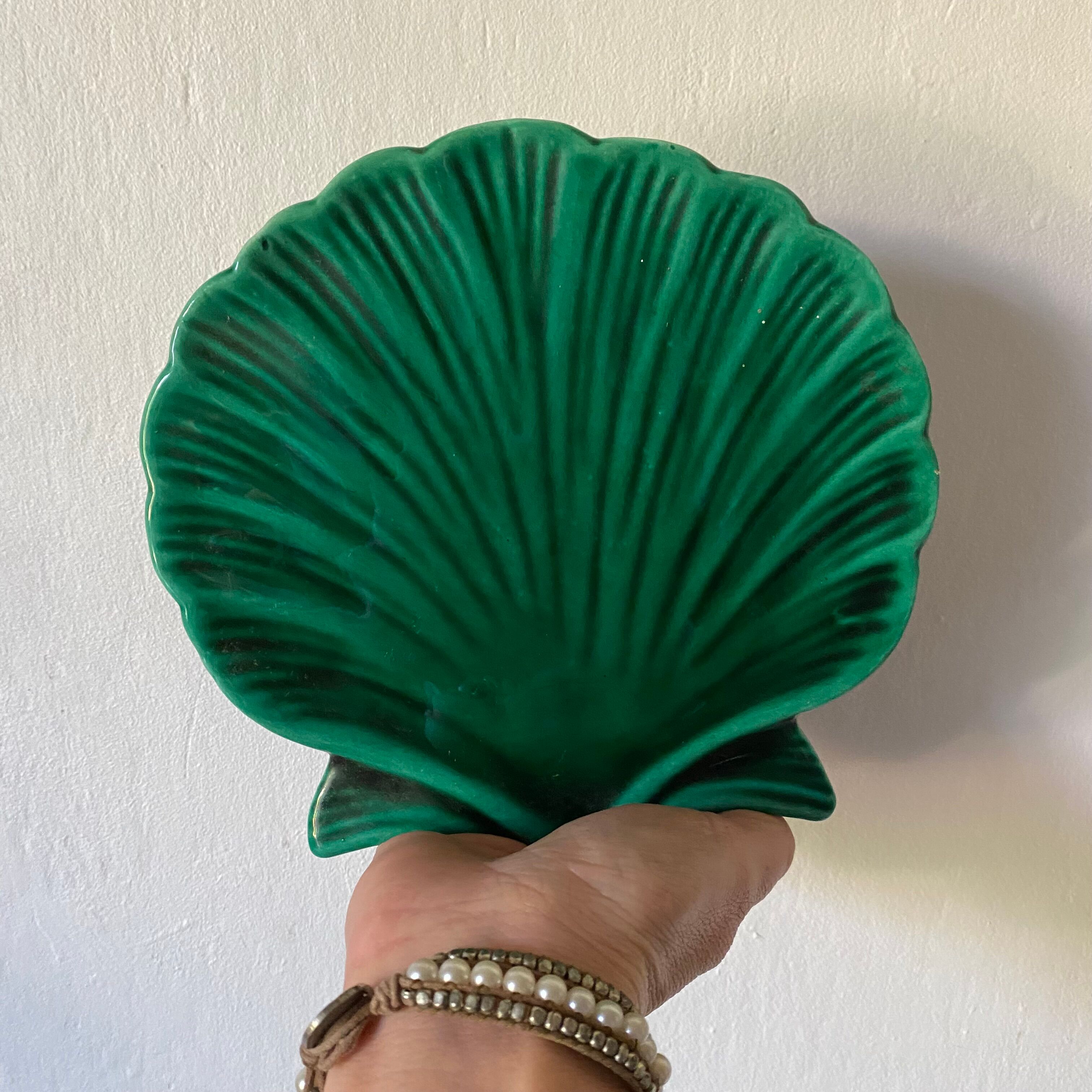 Empty ceramic pocket scallop shell