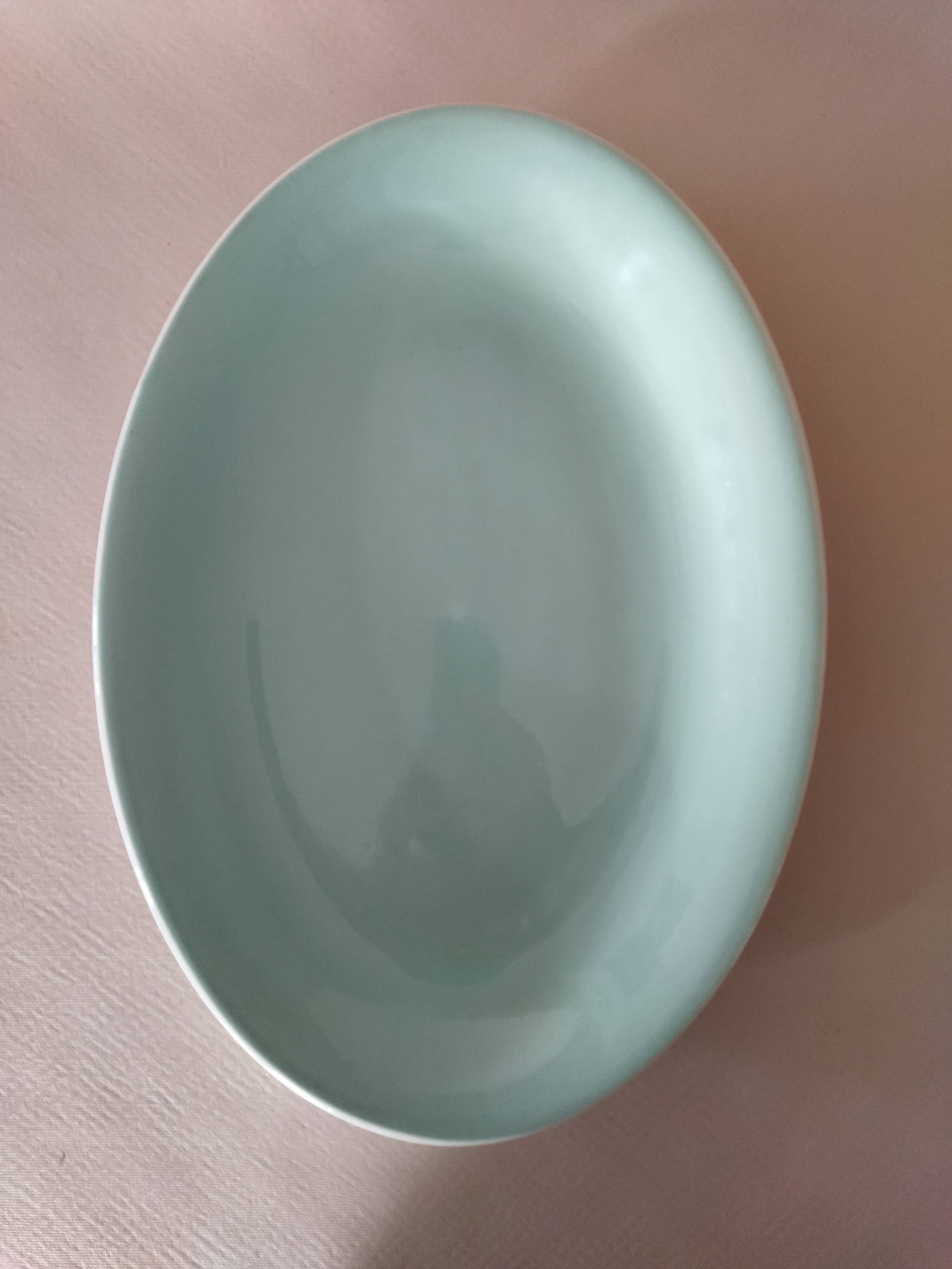 Semi-porcelain dish Céranord celadon green