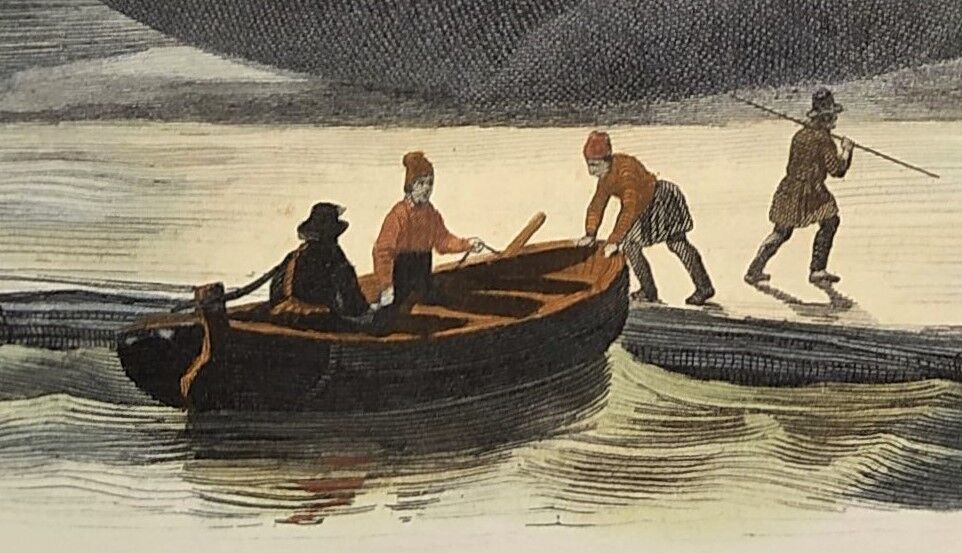 Original zoological plate of 1839 " the right whale "