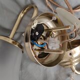 Tulip wall lamps