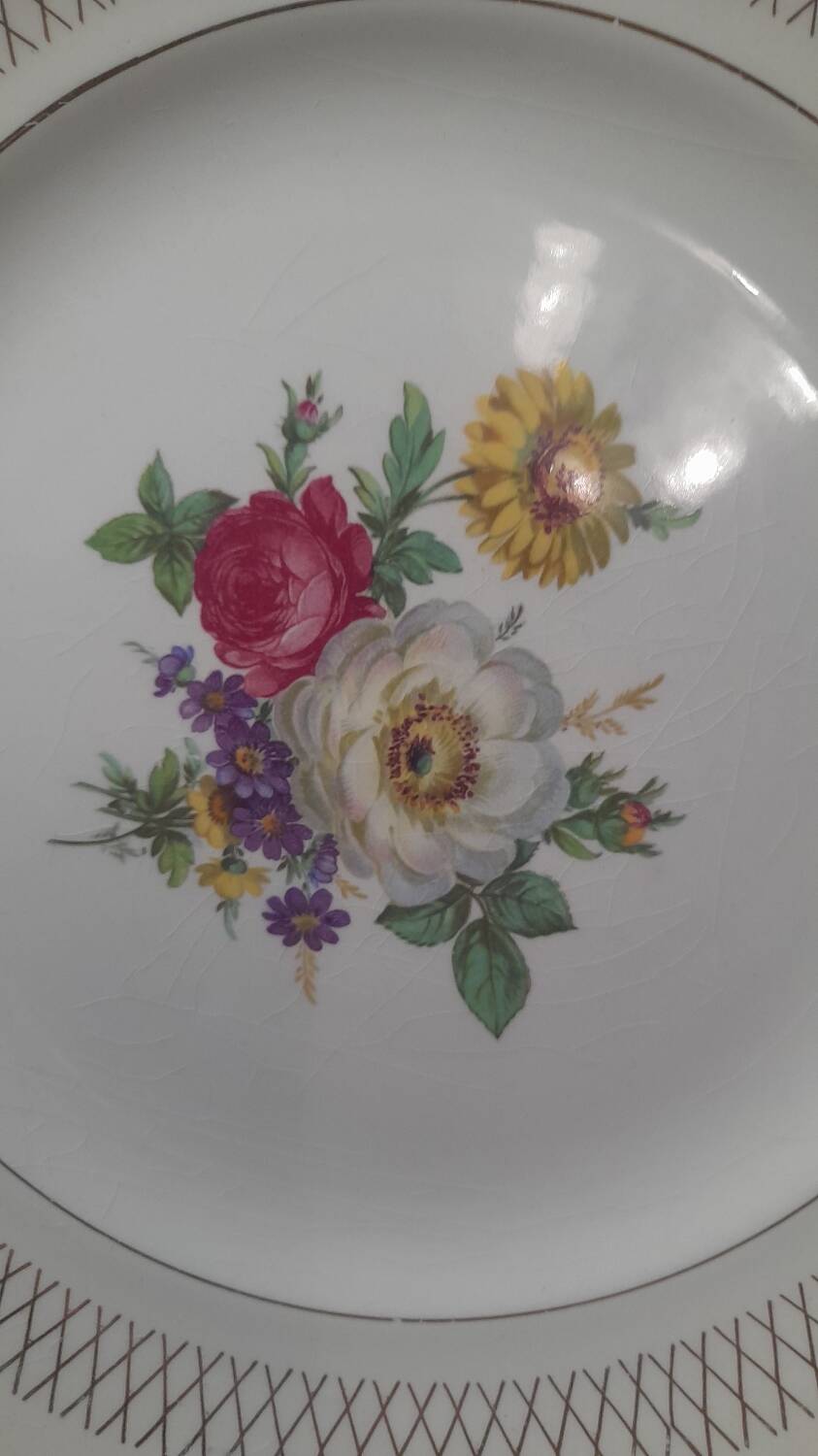 Set of 11 Ceranor St Amand Semi Vitrified Sapho plates