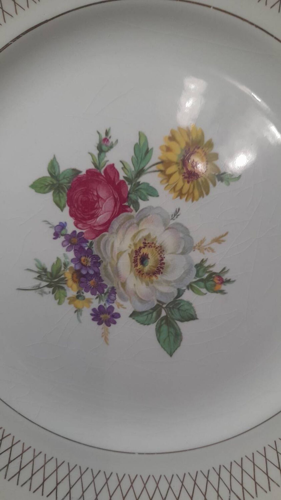 Set of 11 Ceranor St Amand Semi Vitrified Sapho plates