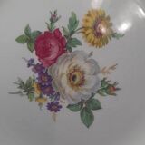 Set of 11 Ceranor St Amand Semi Vitrified Sapho plates