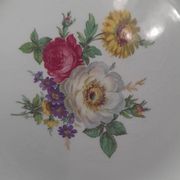 Set of 11 Ceranor St Amand Semi Vitrified Sapho plates