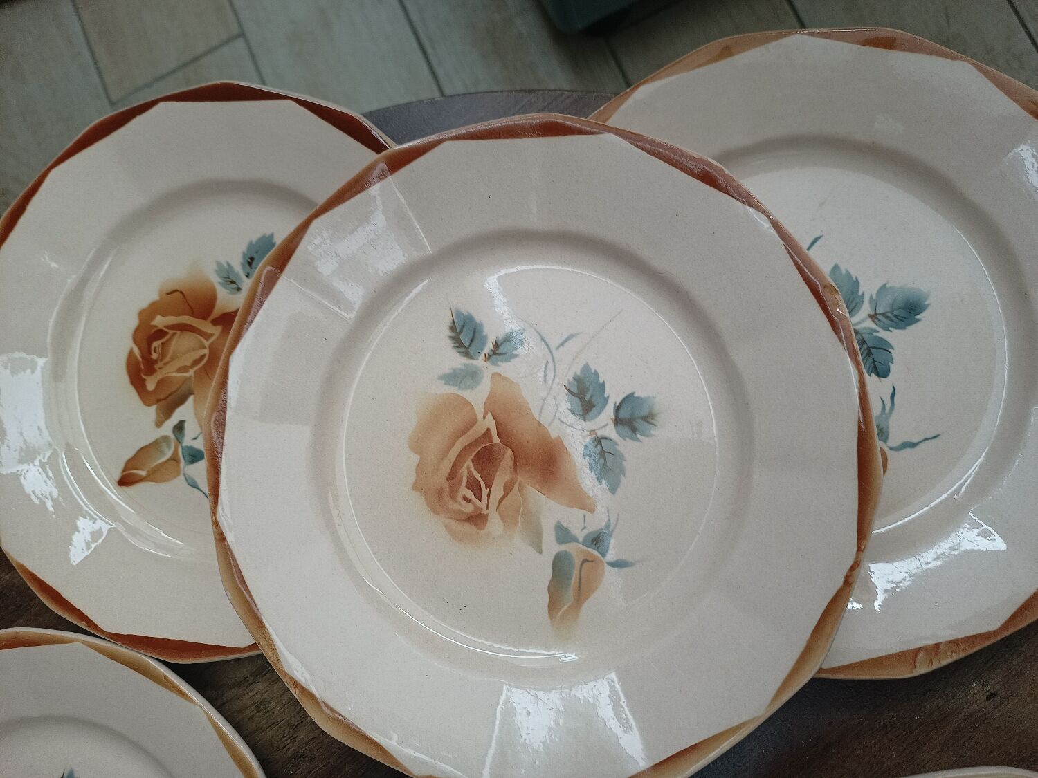 Set of 7 plates digoin Sarreguemines