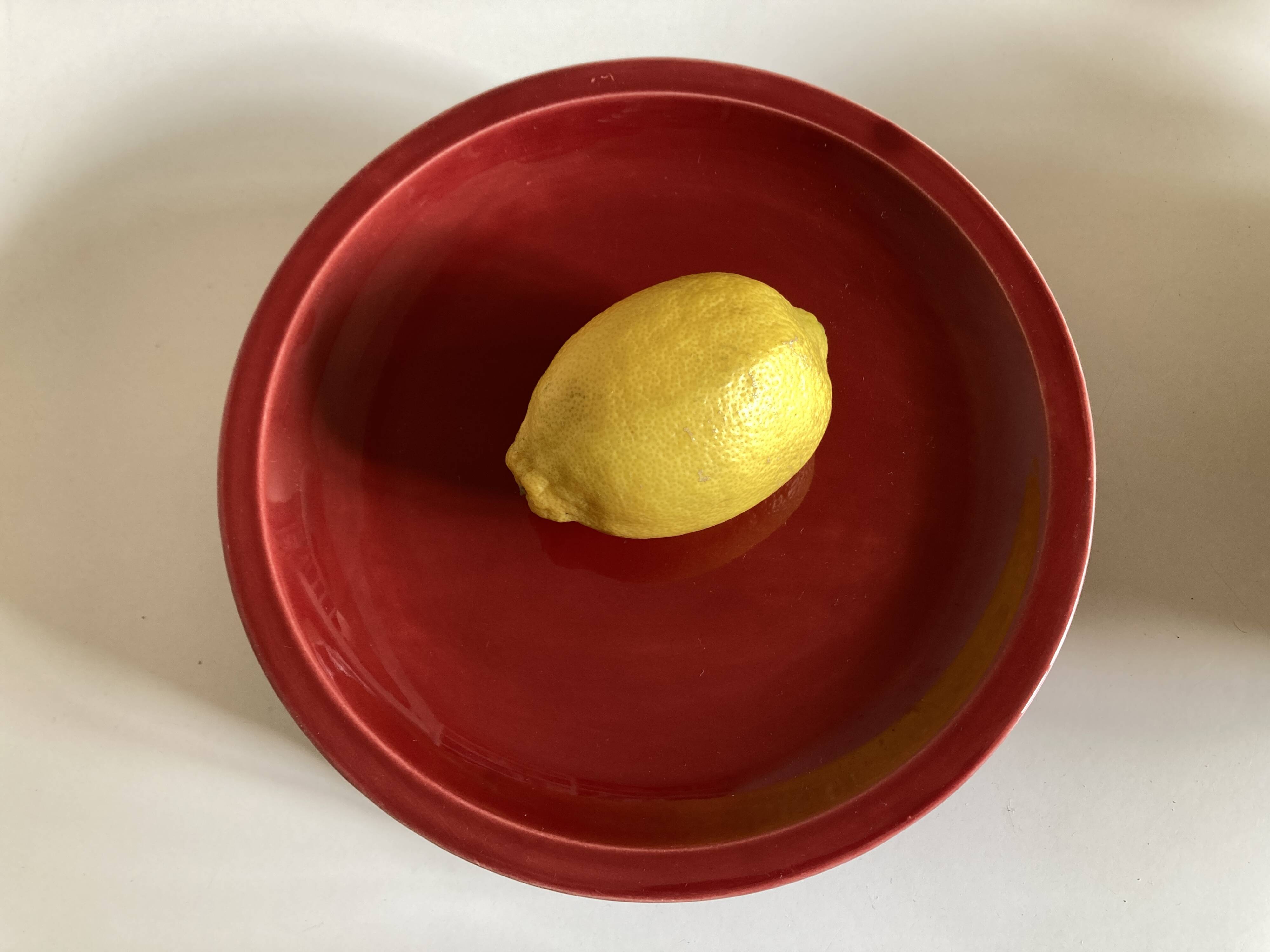 Set of 5 flat plates mid-century 1970 Longchamp earthenware
