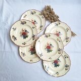 Sarreguemines Agreste soup plates