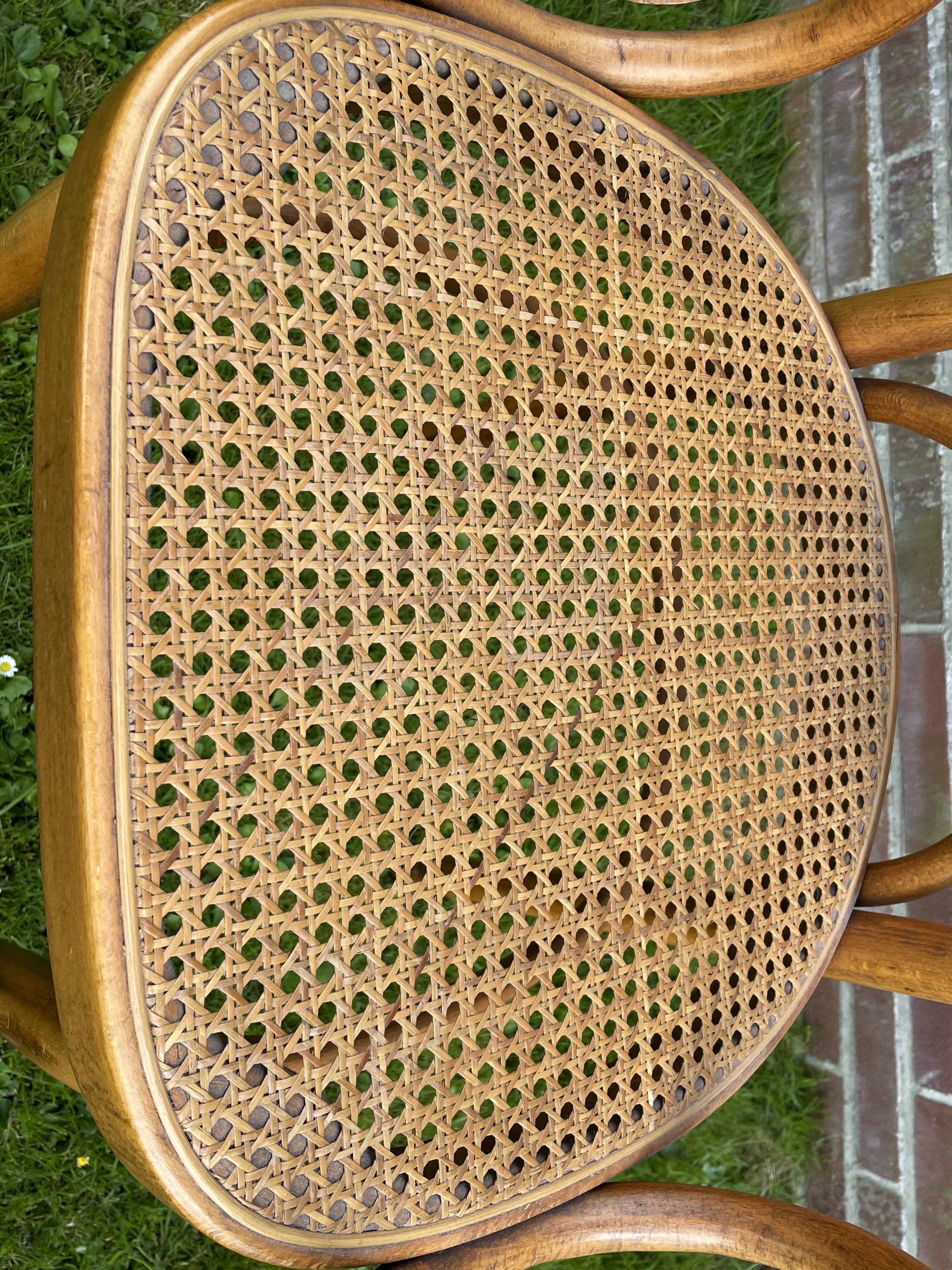 Sculptural bendwood side chair model