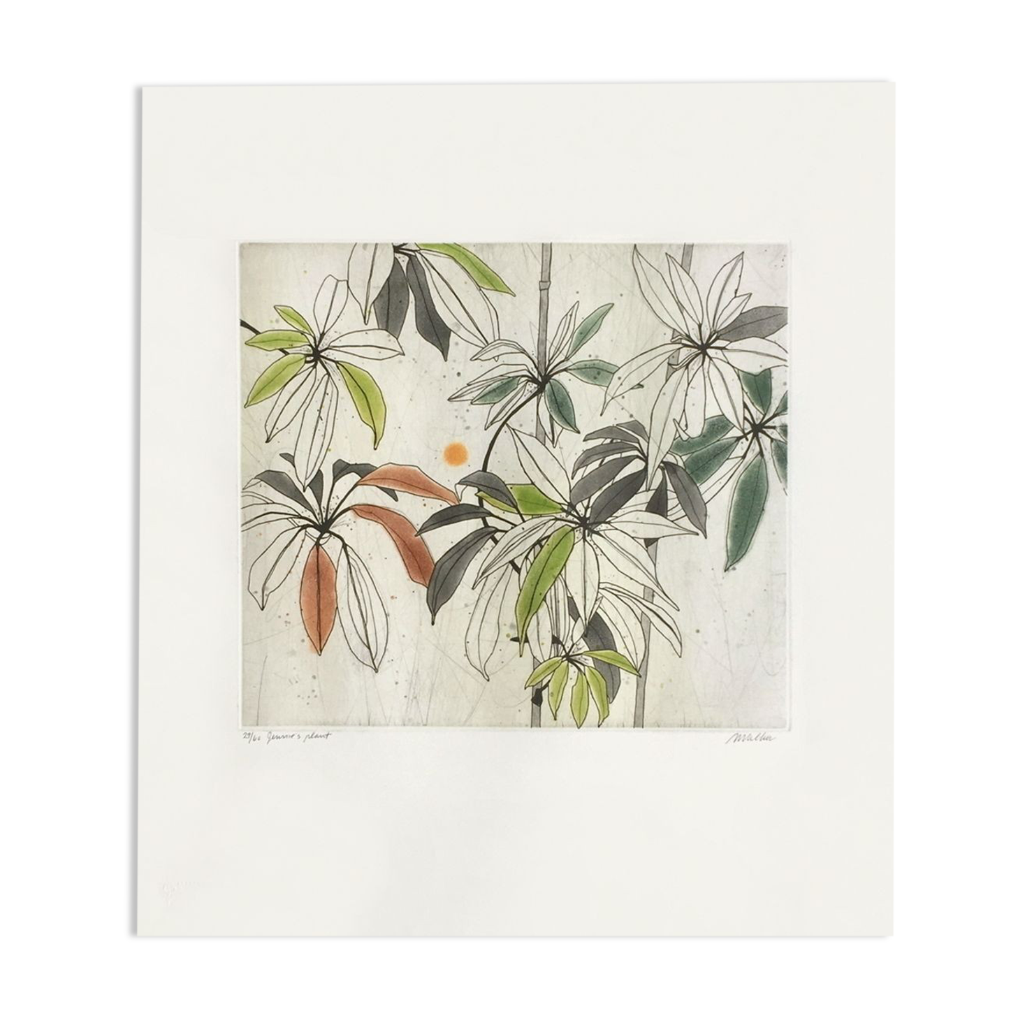 Anne walker jennie's plant engraving