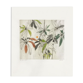 Anne walker jennie's plant gravure