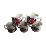 Series of 5 cups
