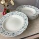 Assiettes terre de fer anglaises Ridgways XIX ème
