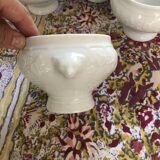CNP Wild Ivy Bowl