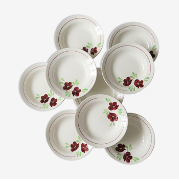 Set of 9 Salins hollow plates, Ninon pattern, French vintage, authentic, rare, countryside