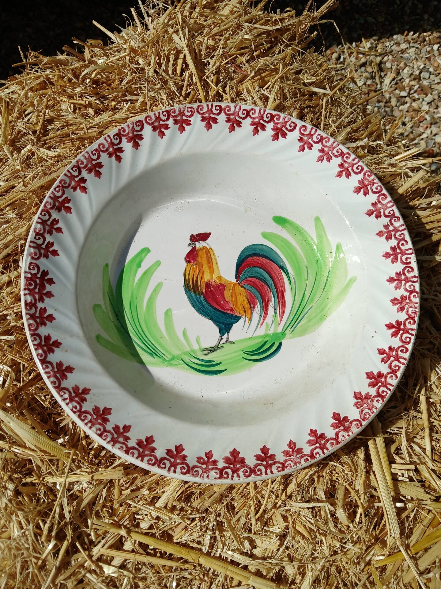 Old chicken dish
